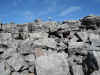 Charlie on the summit of Blackrock Mountain