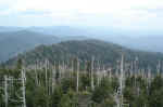 View from Clingmans Dome.