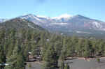 The San Francisco Peaks, from the Lennox Crater trail.