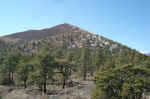 Sunset Crater seen from the East, on the way to Wupatki National Monument.