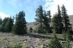 Treeline is at around 11,000'