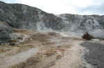 The terraces at Mammoth.