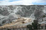 Many of the springs at Mammoth are dormant, others are clearly flowing.