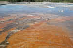 Amazing algae colors in Upper Geyser Basin.