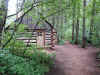 The second old cabin on Taylor Creek Trail