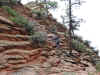 Janice climbing the chains at Scout Lookout