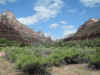 Zion Canyon