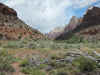 Zion Canyon